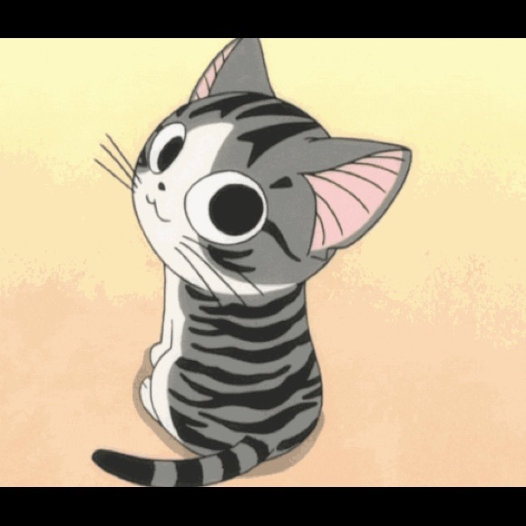 Meet your Posher, Bentley - Picture 1 of 1